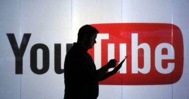 Fact-checking organisations pen open letter to YouTube CEO over disinformation problem