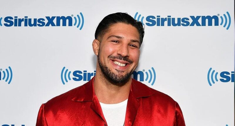 Brendan Schaub Net Worth 2022