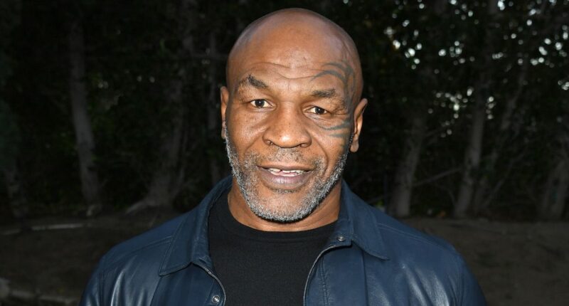 Mike Tyson Net Worth 2022