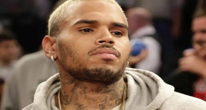 Chris Brown Net Worth 2022