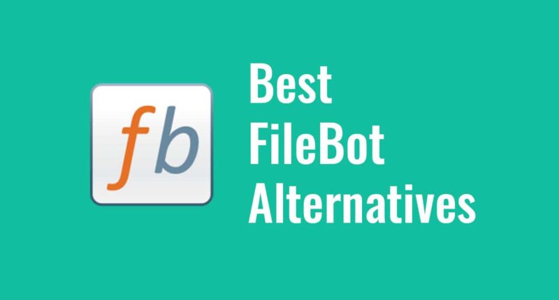 3 Best FileBot Alternatives to Consider